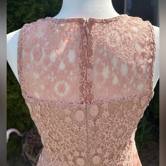 Blush Pink Lace Dress - Picture 4 of 6